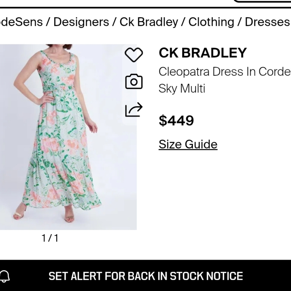 $449 CK Bradley Cleopatra Maxi Dress in Cordelia Sky Multi - Picture 4 of 9